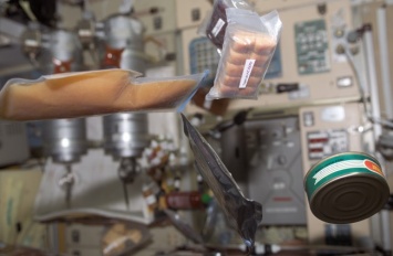 NASA хочет использовать бактерии в качестве источника энергии в космосе