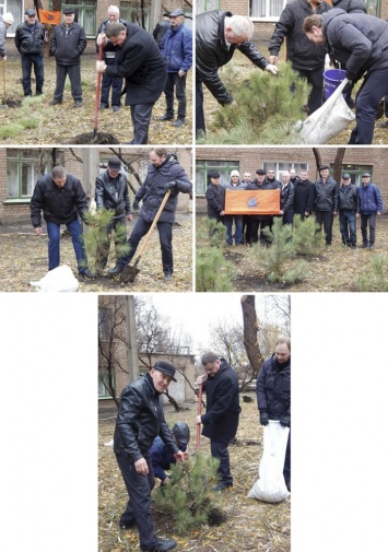 В Кривом Роге высадили деревья в память о погибших ликвидаторах аварии на ЧАЭС (фото)