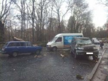 Во Львове на улице Стрыйской дерево упало на УАЗ Patriot. ФОТО