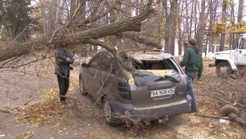 В Тернопольской области шквальный ветер оставил без электроснабжения 79 населенных пунктов