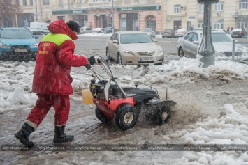 В Харькове из-за непогоды упали полтысячи деревьев, без света несколько школ, - мэрия