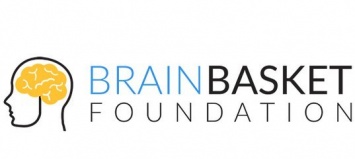Образовательный фонд BrainBasket запустил бесплатный курс по изучению основ программирования