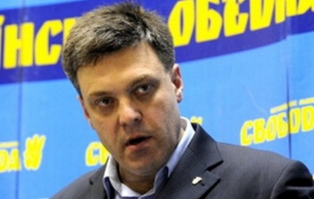 ВО "Свобода" призвала украинцев 8 декабря выйти под Верховную Раду