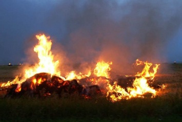 На Николаевщине при пожаре на военном полигоне четверо солдат получили ожоги