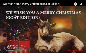 Вслед уходящему году: шведы выпустили альбом рождественских песен, исполненных козами