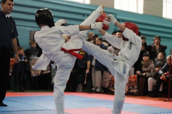 Сразу в трех городах Николаевской области прошли чемпионы по каратэ
