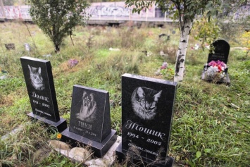 Чиновник рассказал, когда достроят кладбище для домашних животных в Киеве