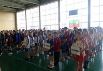 Школьницы из Терновки и Кривого Рога будут представлять область на всеукраинских соревнованиях по гандболу