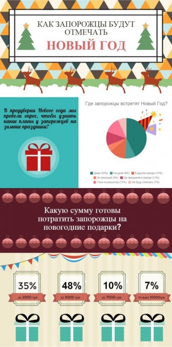 Планы запорожцев на новогоднюю ночь: опрос, инфографика, фото