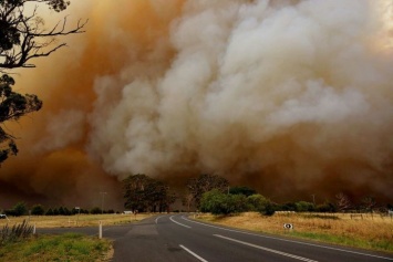 На юге Австралии лесные пожары уничтожили более ста домов