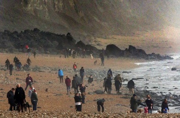 В Англии на месте падения скалы обнаружили остатки древних существ (ФОТО)