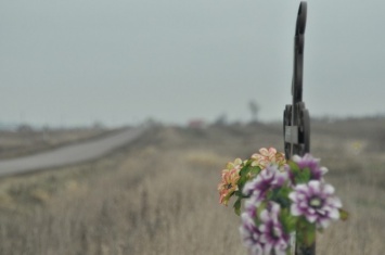 Трагедия в запорожском селе: ногу сбитой девушки искали сутки