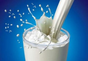 Днепропетровский производитель молочной продукции стал экспортером в ЕС