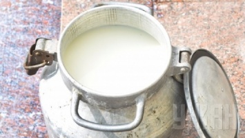 Еврокомиссия предоставила 10 украинским производителям "молочки" доступ на рынок ЕС