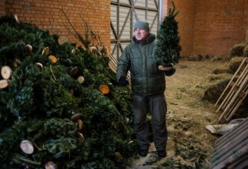 Киевляне привезли в Межигорский зоопарк полтонны неиспользованных елок