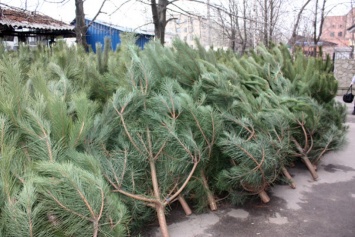 Горожане подарили питомцам Николаевского зоопарка две сотни елок