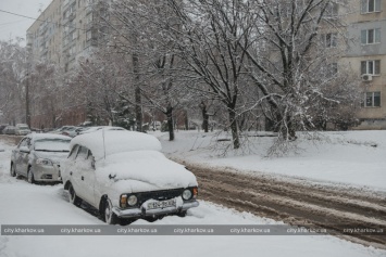 Яценюк просит украинцев публиковать в соцсетях фото, как коммунальные службы убирают снег