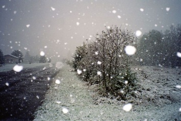 Погода на сегодня: В Украине местами мокрый снег с дождем, до -4, в Киеве -3...-1