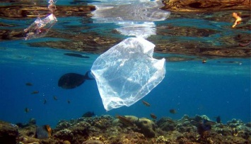 К 2050 году пластика в океанах будет больше, чем рыбы - исследование