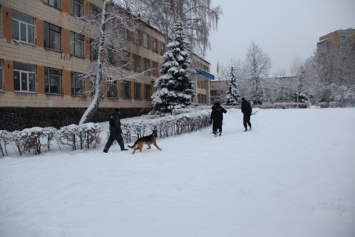 Школу в Житомире "заминировала" 18-летняя девушка, - полиция