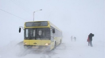 В Одесской обл. спасатели вытащили из снежного заноса автобус с 21 человеком