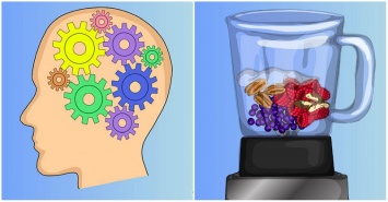 5 продуктов, которые вредят нашему мозгу: вычислить и исключить!