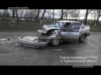 ДТП на Тернопольщине: Daewoo Nexia врезался в асфальтоукладчик - водитель погиб. ФОТО