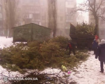 Коммунальщики собрали на улицах города новогодние елки для Николаевского зоопарка