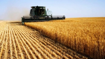 СМИ: Саудовская Аравия инвестирует 10,5 миллиардов долларов в сельское хозяйство Украины