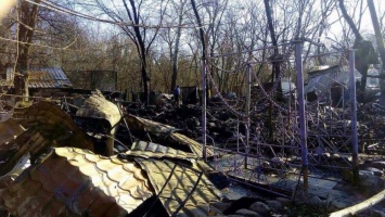 В киевском "Гидропарке" дотла сгорело деревянное кафе, - ГосЧС