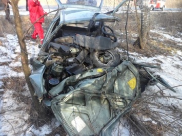 В результате ДТП в Винницкой области погиб человек