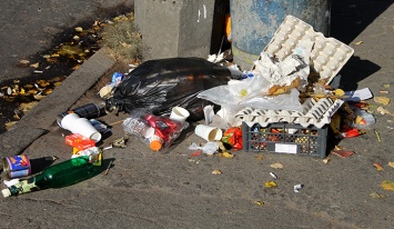 В Киеве могут ужесточить систему штрафов за мусор мимо урны