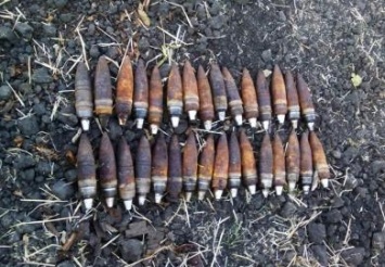 В Криворожском районе уничтожили 32 боеприпаса