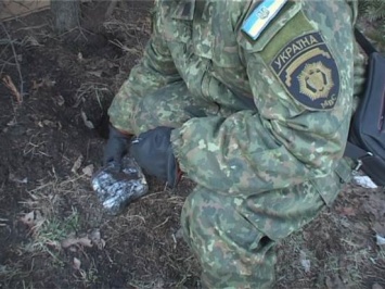 В Днепропетровске возле автодороги обнаружили тайник со взрывчаткой