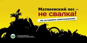«Матвеевский лес – не свалка» – Бурковец помог организовать социальную рекламу на билдордах Николаева