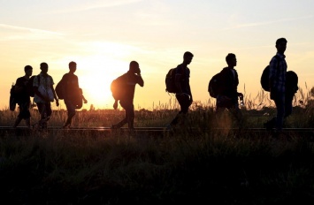 В Закарпатской обл. на границе с Венгрией задержаны семь граждан Турции, - полиция