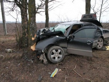 Машина врезалась в дерево в Винницкой области, погибли два человека