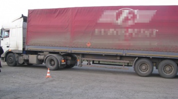 В России задержали 161 автотранспортное средство украинских перевозчиков, – Минтранс РФ