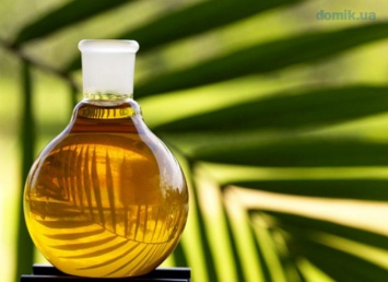 Запрет пальмового масла: продукты станут чище, но дороже