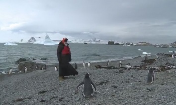 Патриарх Кирилл после встречи с Папой Римским поехал к пингвинам