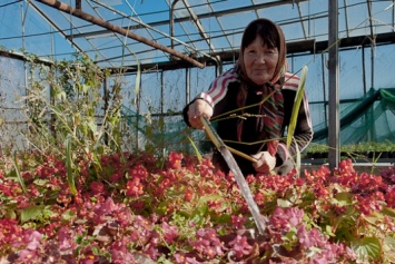Весной в Одессе высадят 140 тысяч цветов