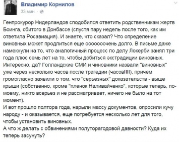 Голландский генпрокурор заявил, что виновные по сбитому Боингу не установлены