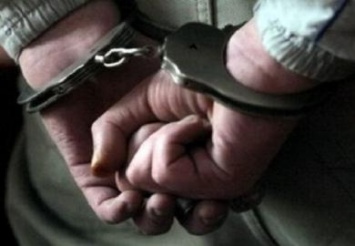 Ранее судимого жителя Новомосковска арестовали за изнасилование девушки в лесу