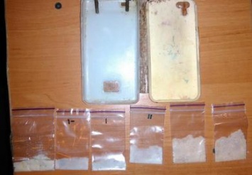 На Днепропетровщине задержали лидера наркодельцов и изъяли препараты на 100 тыс. грн