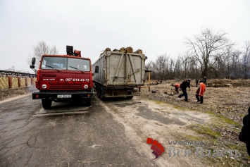 В Запорожье рядом с VIP-жильем рубят лес