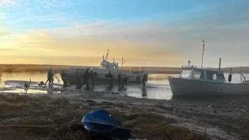 НИБУЛОН: Зарыбление Южного Буга во время дноуглубления – неэффективно