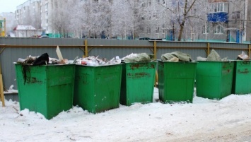 В Башкирии на мусорке около больницы найдено тело новорожденного