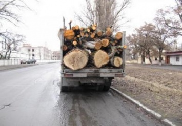 В Павлограде задержали «КРАЗ», перевозивший около 7-8 кубов пиленого леса без документов