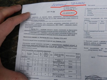 Нашлись документы на варварски спиленные ясени в центре Николаева