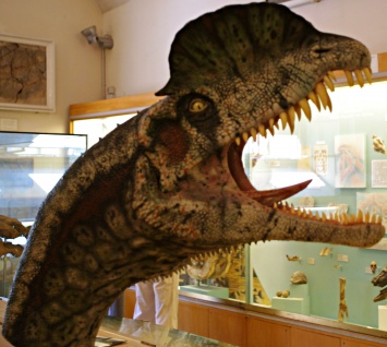 Ученые: Найден самый искалеченный динозавр